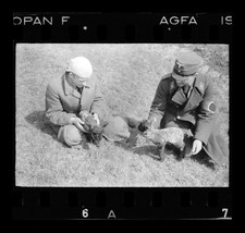 8988a❚ ORIGINAL Negativ (no