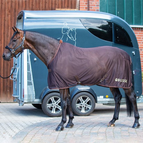 Busse transport fliegendecke - busse, transport-fliegendecke