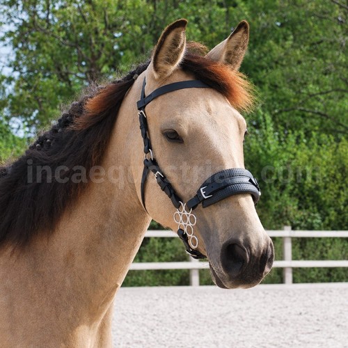 Flower hackamore komplette - hackamore,