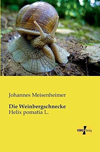 Die weinbergschnecke helix - die, weinbergschnecke: