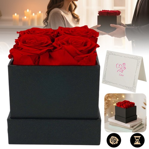 Ewige rose blumen infinity - ewige,