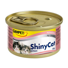 Gimpet ShinyCat Kitten