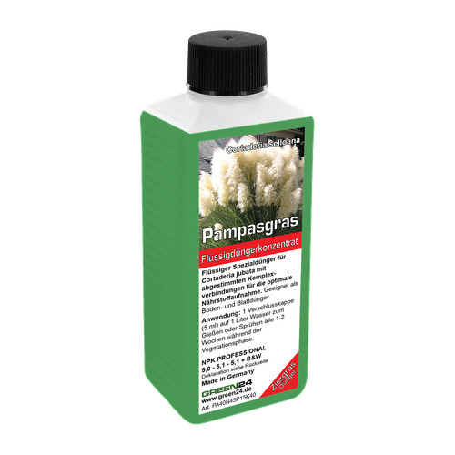 Pampasgras dünger npk - pampasgras,