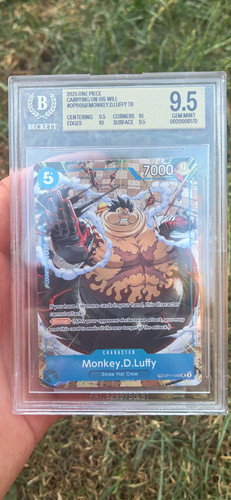 One piece monkey luffy - piece,