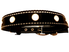 Leucht Hunde Halsband mit 7 roten LED's , mit Batterie CR 2032