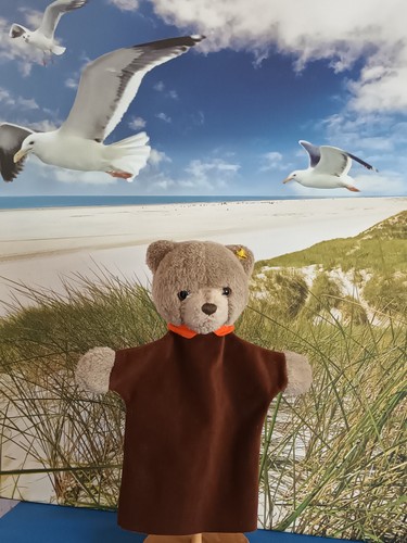 Handpuppe bär von steiff mit - handpuppe,
