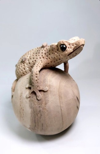 Hölzerner gecko auf - gecko,
