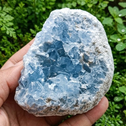 Coelestin druse geode blau - coelestin,