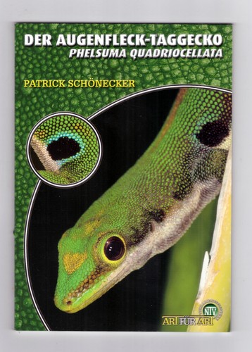 Der augenflecken taggecko - augenflecken-taggecko,
