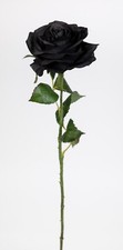 Rose 54cm schwarz - , cg