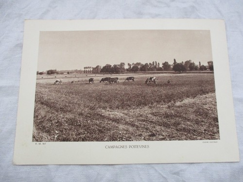 Altes kartonbrett 1930 wien - altes,
