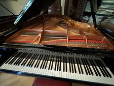 Kraftvoller Werner Flügel Stutzflügel Grand Piano Konzertflügel Salonflügel