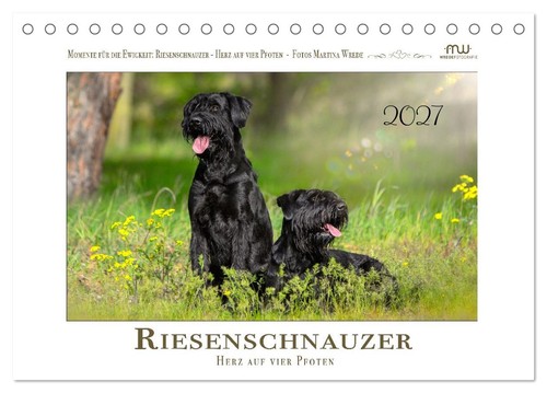 Riesenschnauzer herz auf - riesenschnauzer,