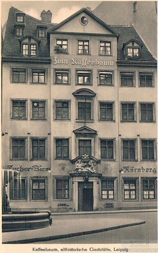 Kaffeebaum althistorische - ak, kaffeebaum,