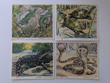 4 Margarine Voss Kunstbilder