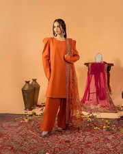 Übergröße Designer Salwar Kameez Pakistaner Rasen Anarkali Anzug Damen Kurta