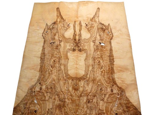 Olivesche furnier maser - olivesche,