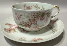 Haviland & Co Limoges France