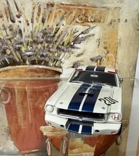 Ford shelby mustang gt350r - ford,