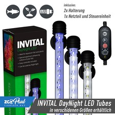 DayNight Tag Nacht LED