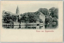 52296682 - Regenwalde