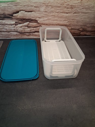 Tupperware großer kompaktus - großer,