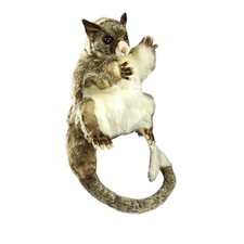 Hansa creation opossum - hansa,