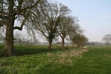 Foto 6x4 Blick nach Norden