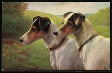 Ansichtskarte Zwei Kurzhaar-Terrier mit Halsband 