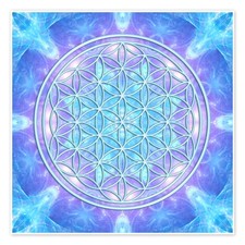 Poster Blume des Lebens -