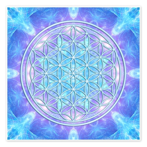 Poster blume des - poster,