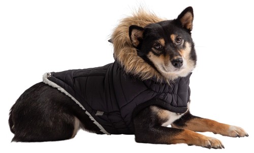 Hundemantel wintermantel hund - hundemantel,