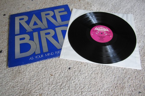 Rare bird your - bird,