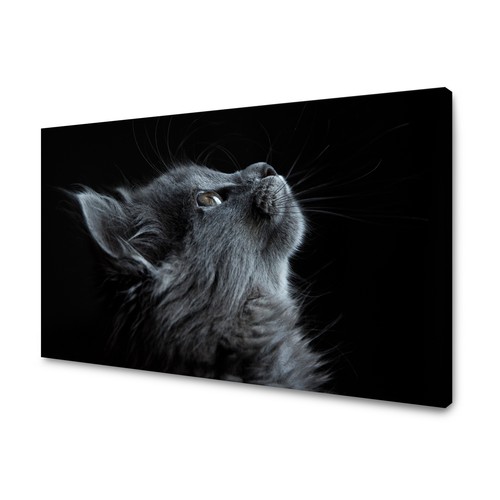 Canvas leinwandbilder bilder - leinwandbilder,