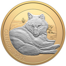 Silbermünze Grauwolf (3.)