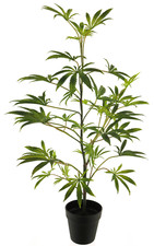 Künstlicher Marihuana Baum Höhe ca. 90 cm Grün eingetopft Cannabis Hanfpflanze