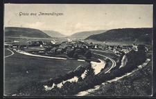 Immendingen, Gesamtansicht