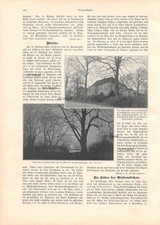 Hamburg - Villa Hesse und