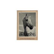 Horses / Black Picture Library