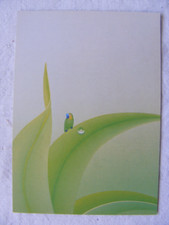 Postkarte Ansichtskarte Tier Vögel Vogel Kunst Zeichnung Papagei Hiromiti Kamada