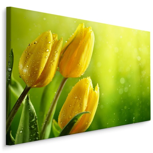 Canvas leinwand bilder xxl - canvas,