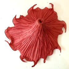 Aqua Creations Medusa Wall Light Morning Glory Flame Red Silk Wandlampe Leuchte