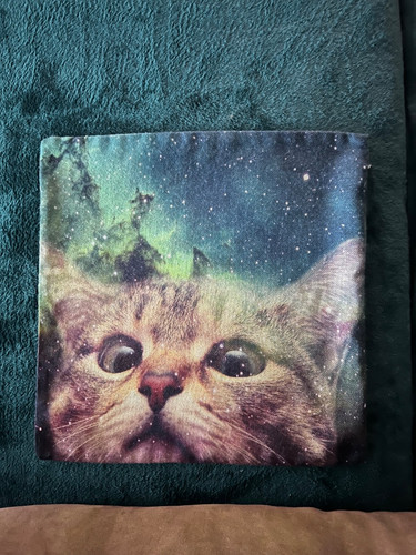 Kissenhülle katze 43x43cm - katze,