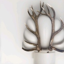 Kapitale Abwurfstange Rothirsch Hirsch Geweih Trophäe