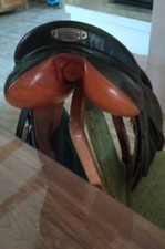 vielseitigkeit sattel