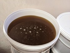 10kg Sommertrachthonig Honig