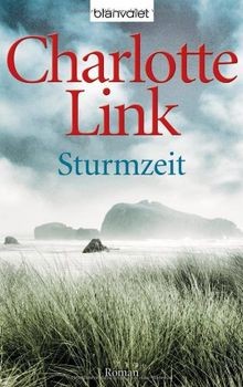 Sturmzeit von link charlotte - sturmzeit, link,