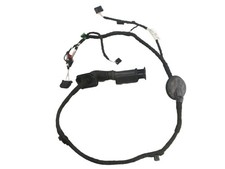 Kabelbaum Tür links hinten