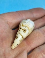 Netsuke Schlange 