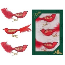 Vogel mit Federschwanz Rot